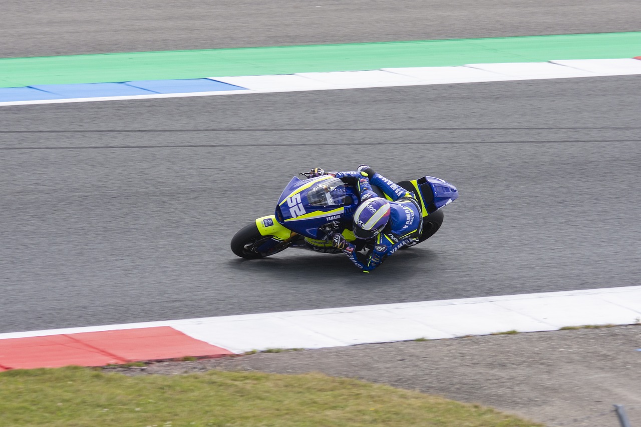 种子选手的 种子选手的