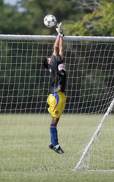 領袖能力 領袖能力