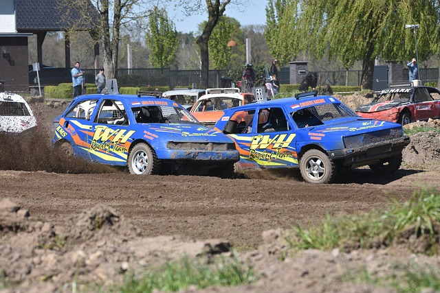 体育竞技中 体育竞技中